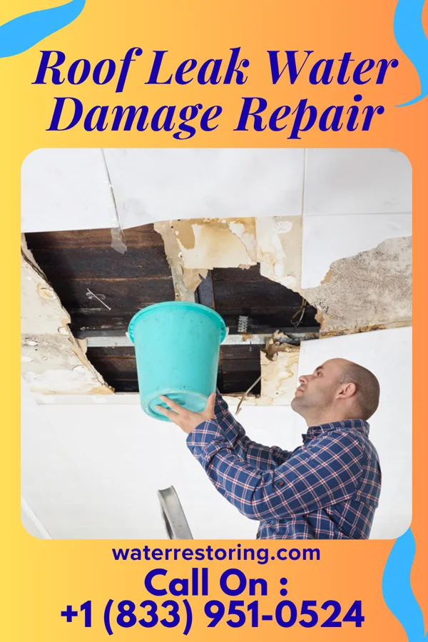 Roof Leak Water Damage Repair in Kingsbury, TX